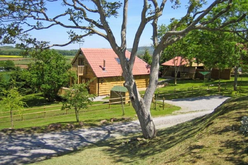 Click here for more about Hazel Lodge