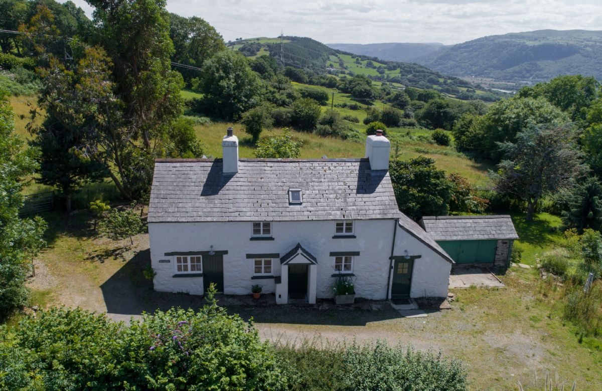 Click here for more about Bryn Rhydd