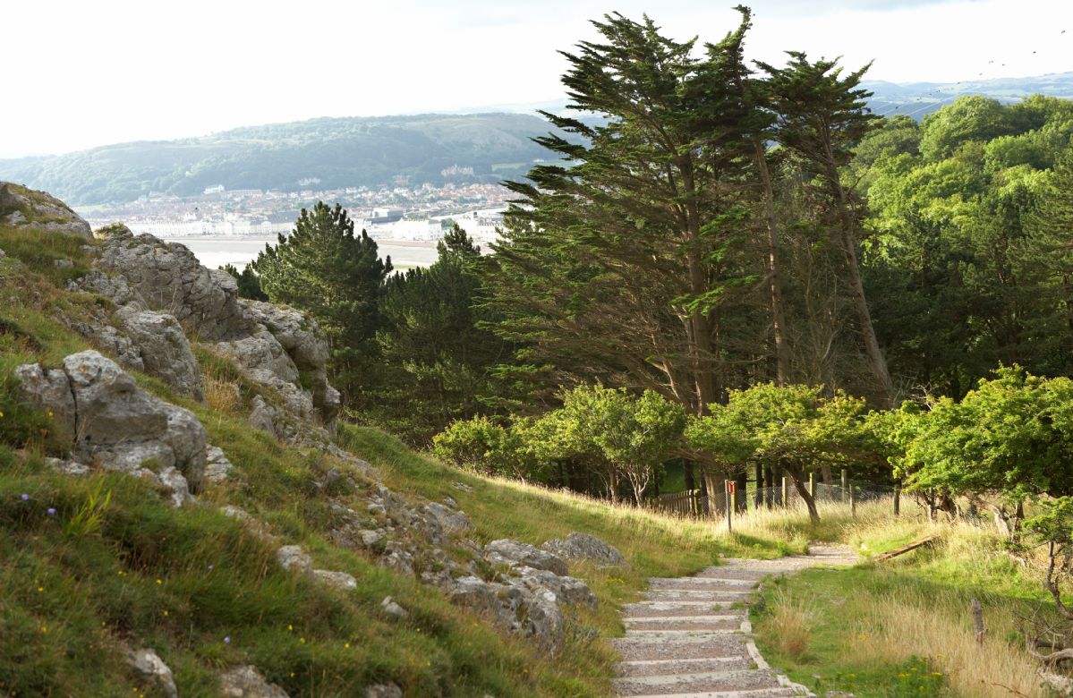 Click here for more about Garreg Wen