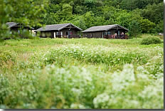 Carry Farm, Tighnabruaich,Argyll and Bute,Scotland