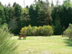 Glentrool Holiday Park, Newton Stewart,Dumfries and Galloway,Scotland