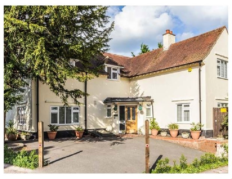 Click here for more about Yew Tree