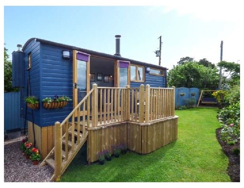 Click here for more about Just the Ewe of Us