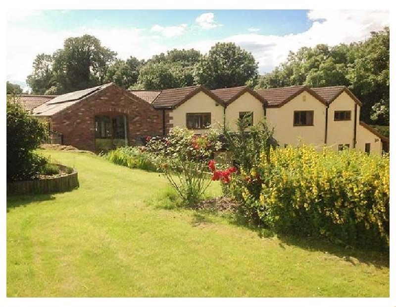 Click here for more about Little Willow