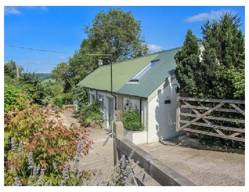 Click here for more about Bramble