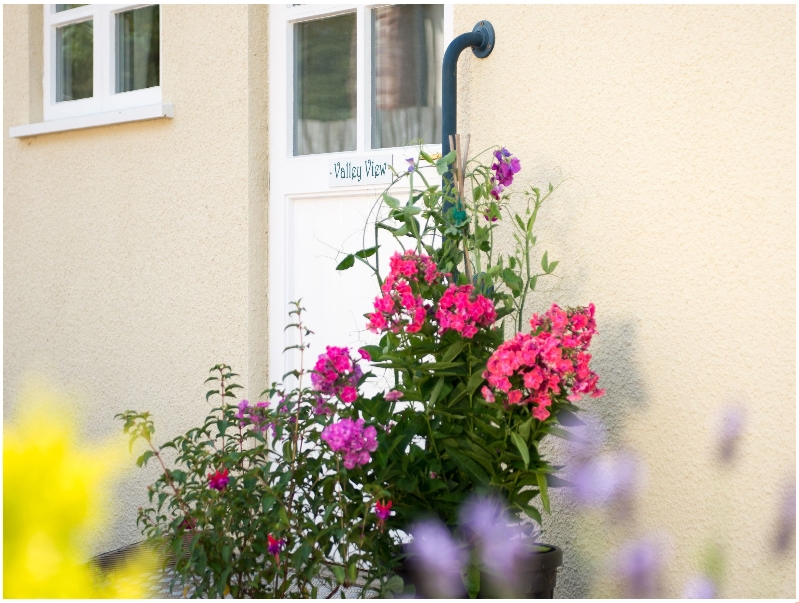 Click here for more about Valley View