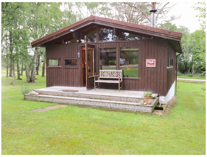 Click here for more about The Decoy