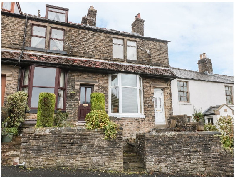Click here for more about Windsor Terrace