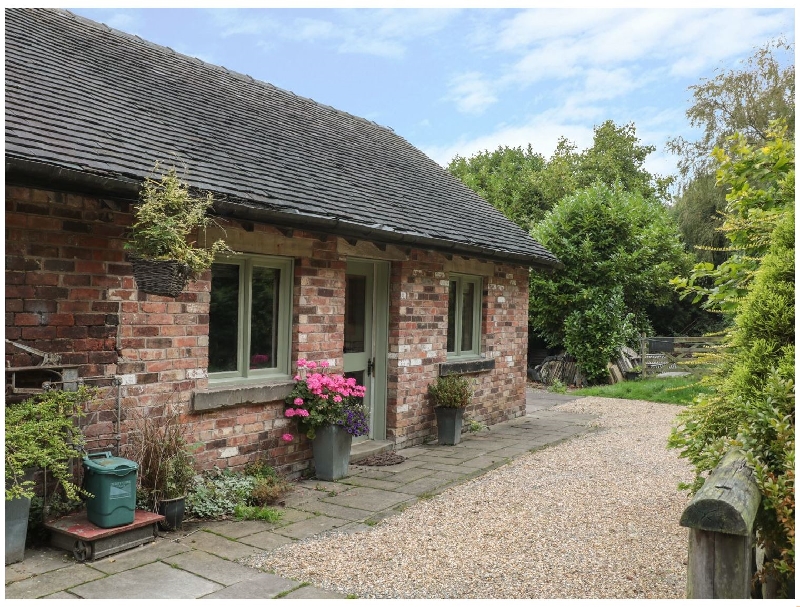 Click here for more about Bay Tree