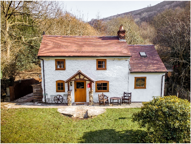 Click here for more about The Wilderness