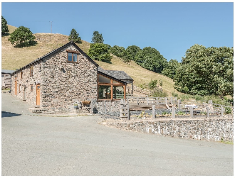 Click here for more about The Owl House