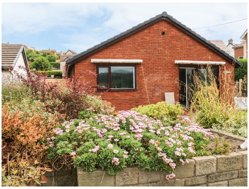 Click here for more about 3 Trem Afon