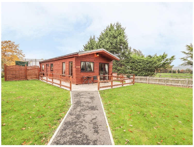 Click here for more about Fallows