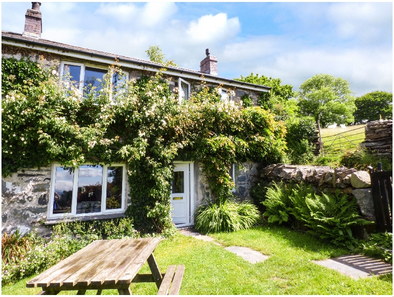 Click here for more about Groes Newydd