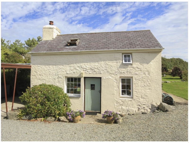 Click here for more about Cyndal Bach