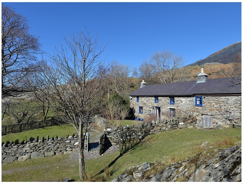 Click here for more about Llwyn Bedw