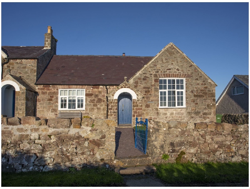 Click here for more about Nyth y Wennol