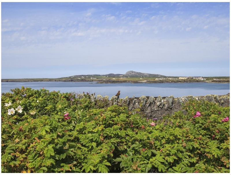 Click here for more about Ty Bychan