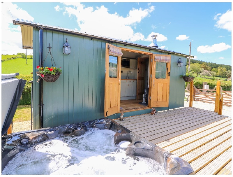 Click here for more about Ivy's Way