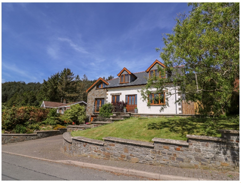 Click here for more about Derwen Haidd