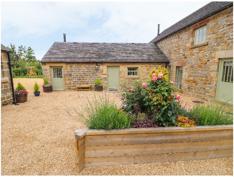 Click here for more about Collecting Yard