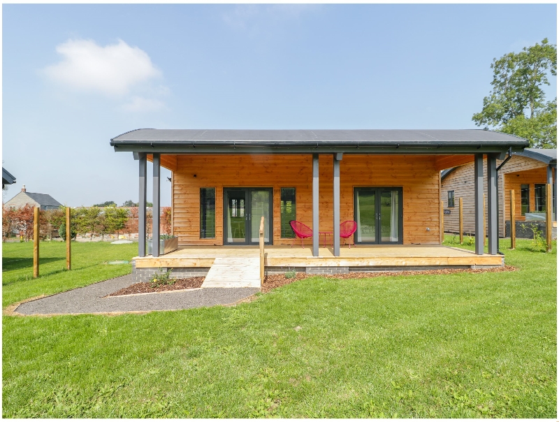 Click here for more about Bluebell