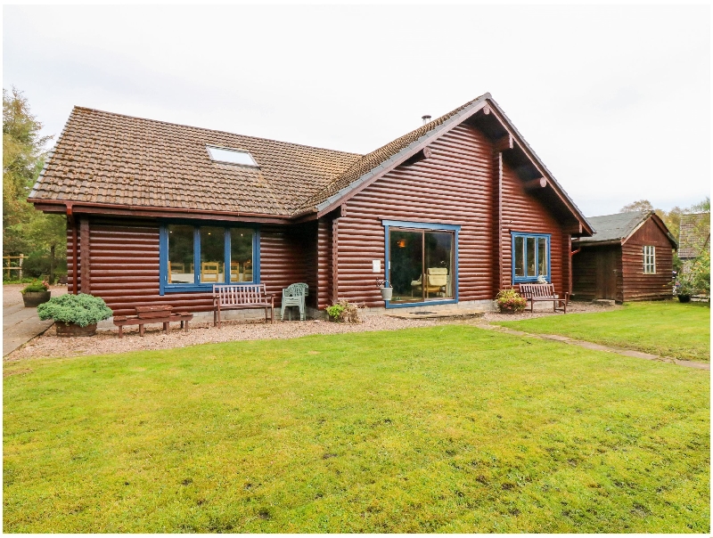 Click here for more about The Logs