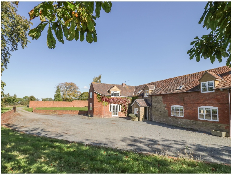 Click here for more about The Chestnuts